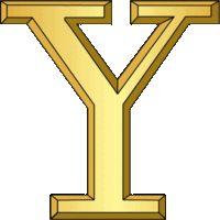 神奈川県　横浜市立横浜商業高等学校   3年  D.Y